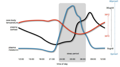 How Does Light Color Help You with Sleep?